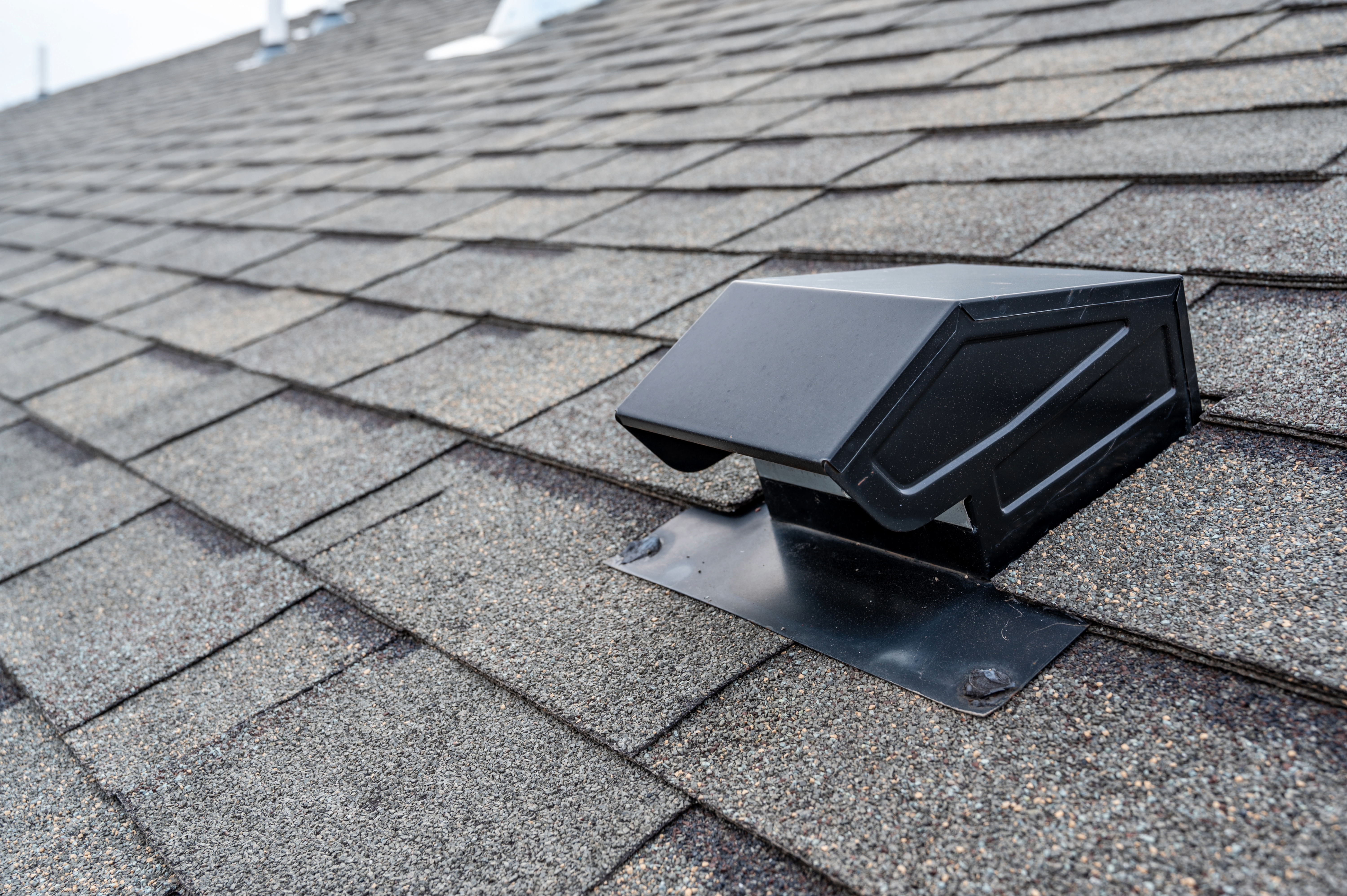 Rooftop dryer vent
