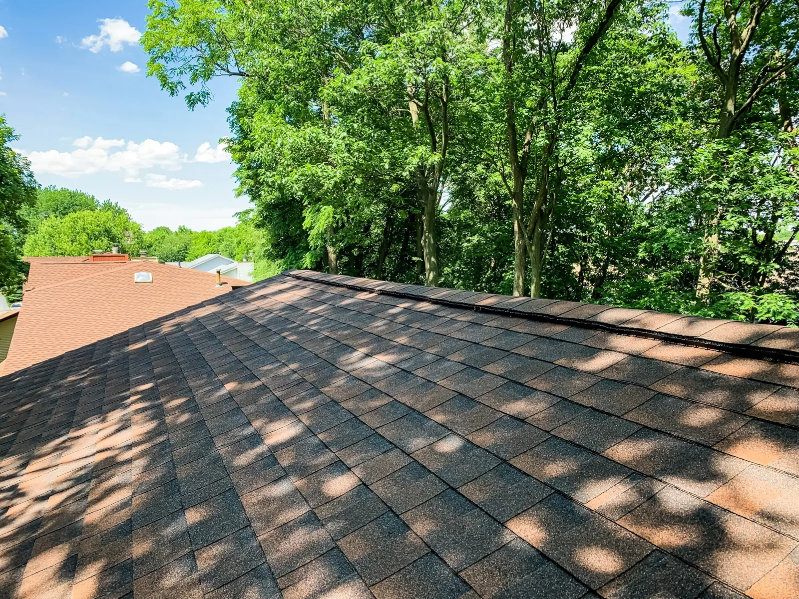 Roofing 101: Wild Animals, Damages, and Repairs